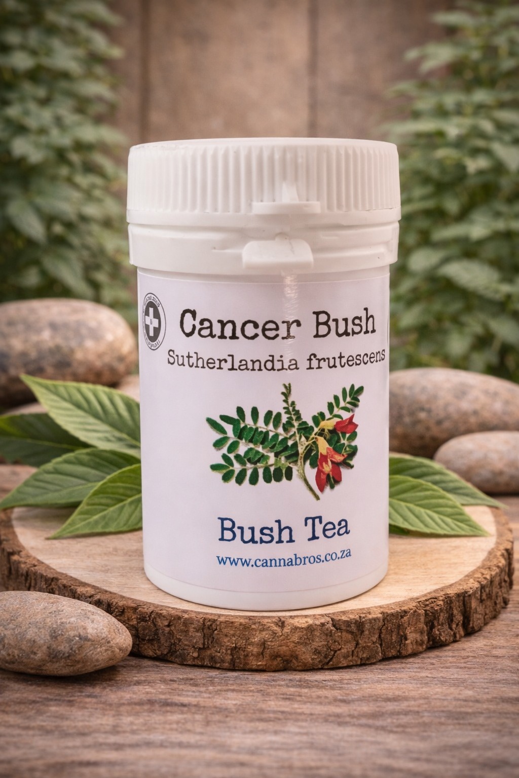 Cancer Bush Capsules