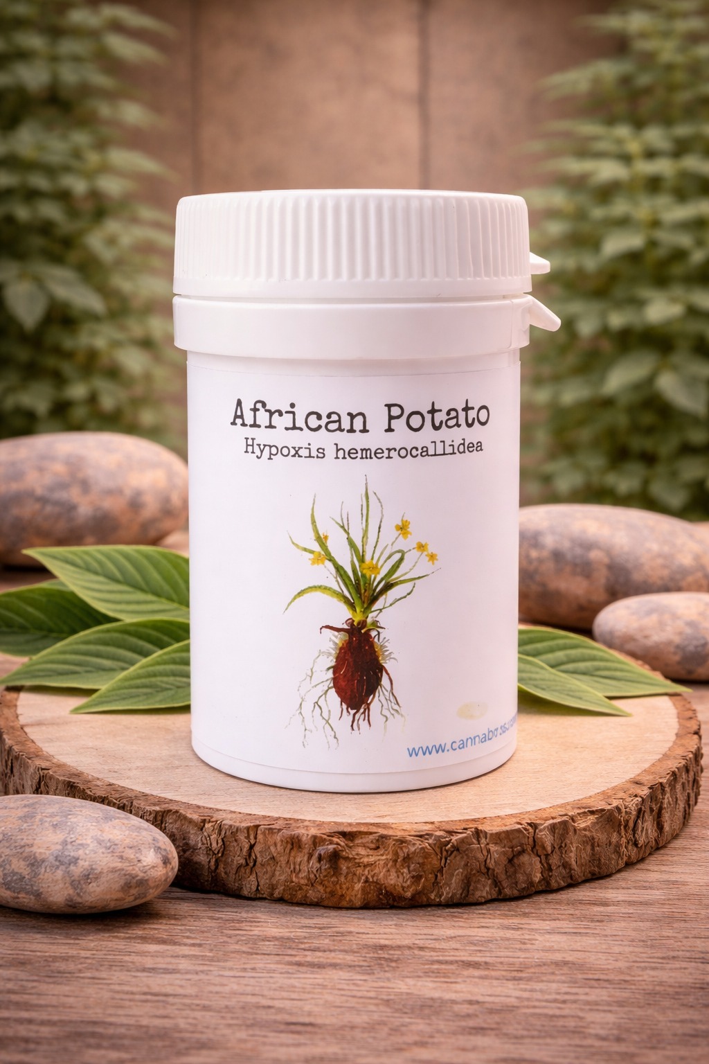 African Potato Capsules