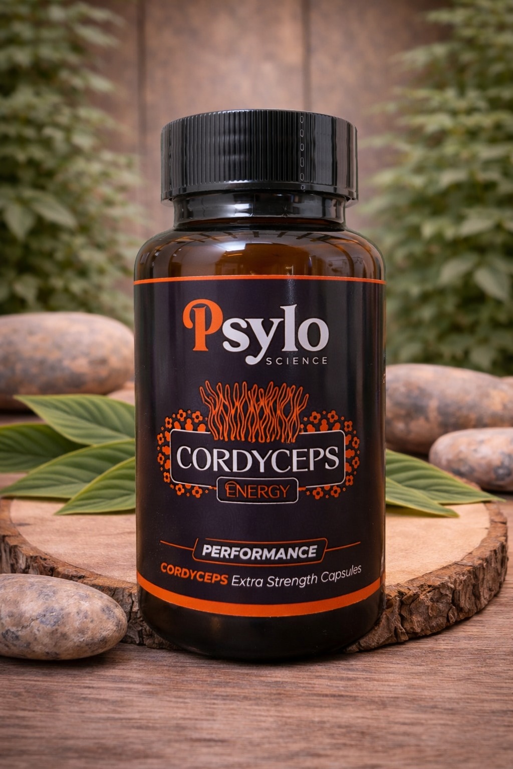 Cordyceps Mushroom Capsules